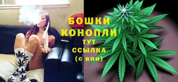 spice Липки