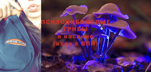PSILOCYBIN Лихославль