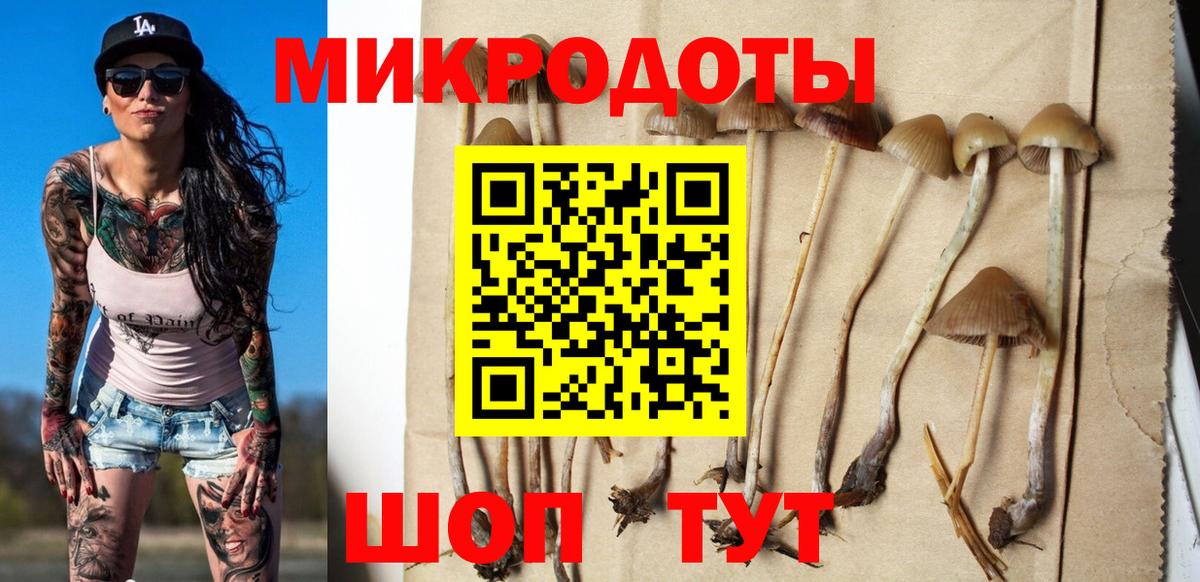 Галлюциногенные грибы ЛСД  Вход с VPN  Россошь  Псилоцибиновые грибы Psilocybine cubensis 